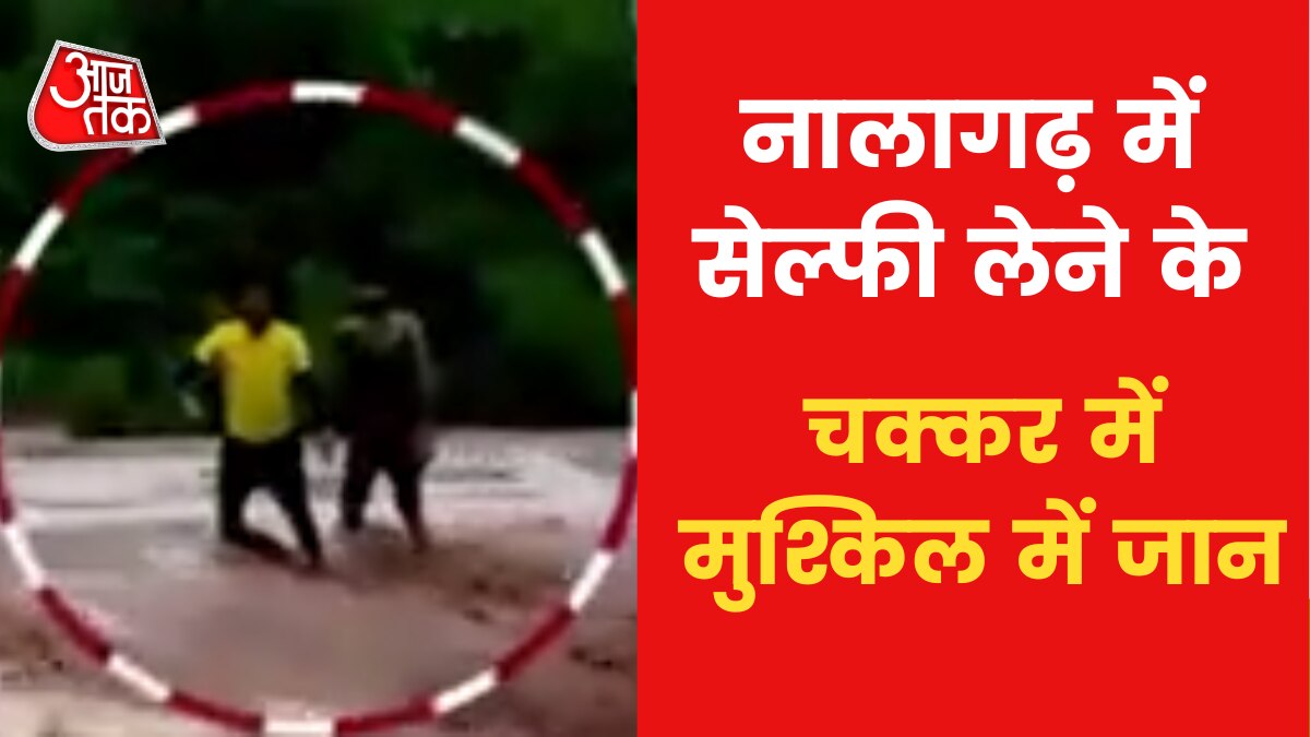 5 people land in river to take selfie