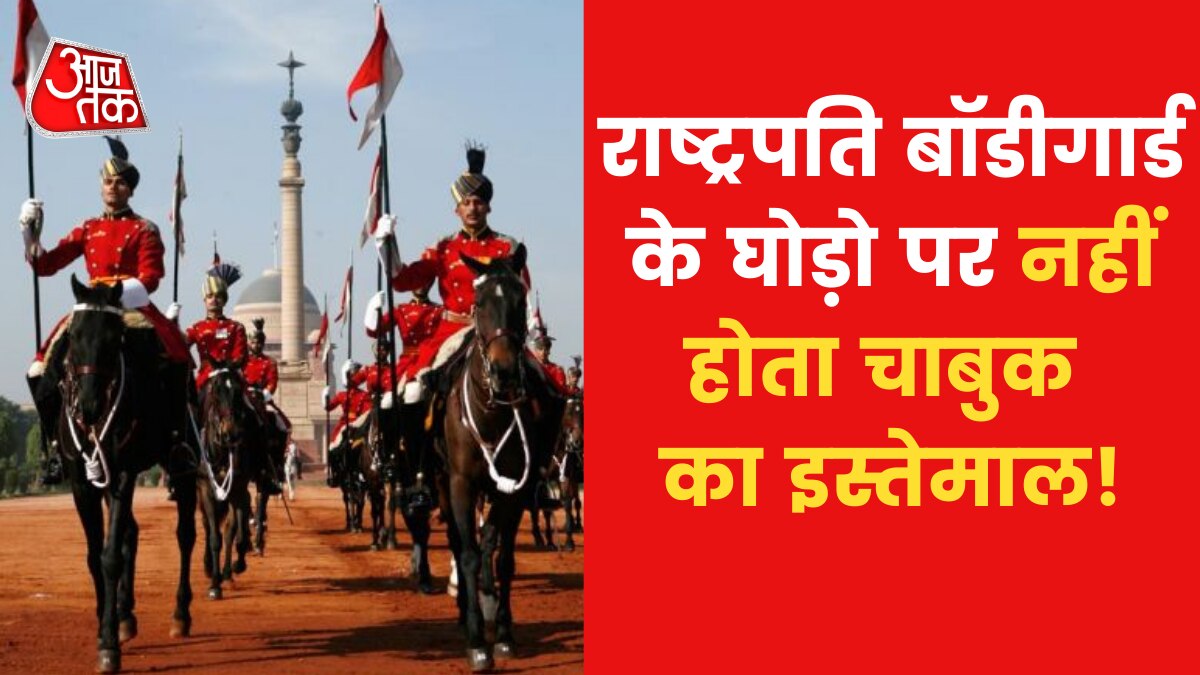 कितनी होनी चाहिए ऊंचाई, कैसी होती है दिनचर्या, जानें 'प्रेसिडेंट बॉडीगार्ड' के घोड़ों से जुड़ी जानकारियां