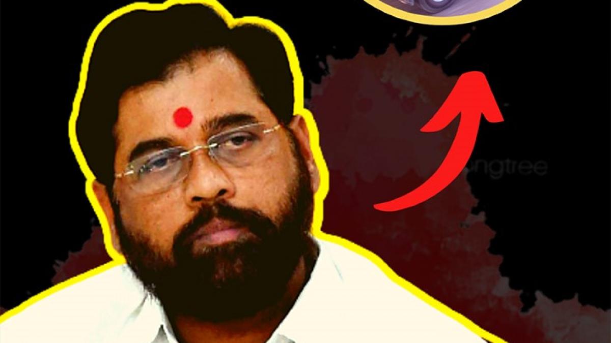 Eknath Shinde Property