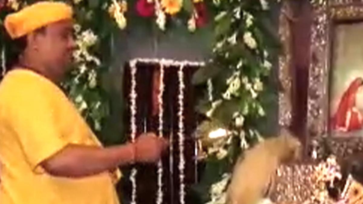 janmashtami 2022 mangla Aarti in Temple of Mathura news in hindi 2022