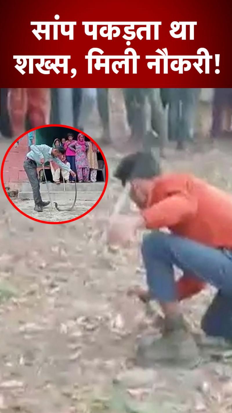 Snake Man: पलक झपकते ही पकड़ लेता है जहरीले सांप, वन विभाग ने वीडियो देखकर दे दी नौकरी