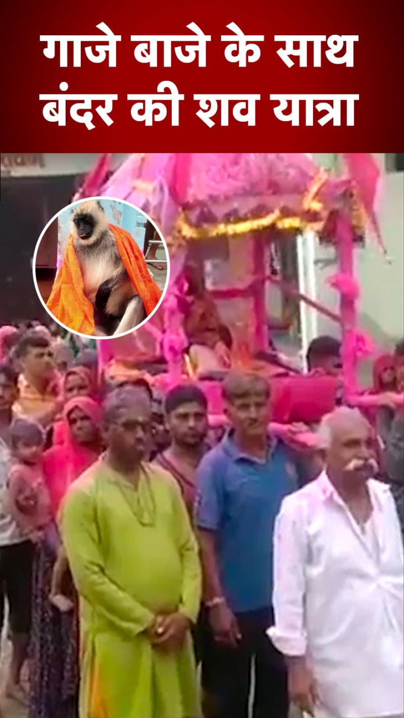 गाजे-बाजे के साथ निकाली बंदर की शव यात्रा