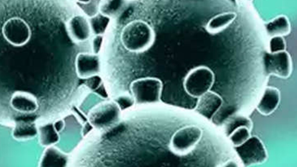 Corona bomb explodes in district jail 70 prisoners positive 300 reports Pending MMT