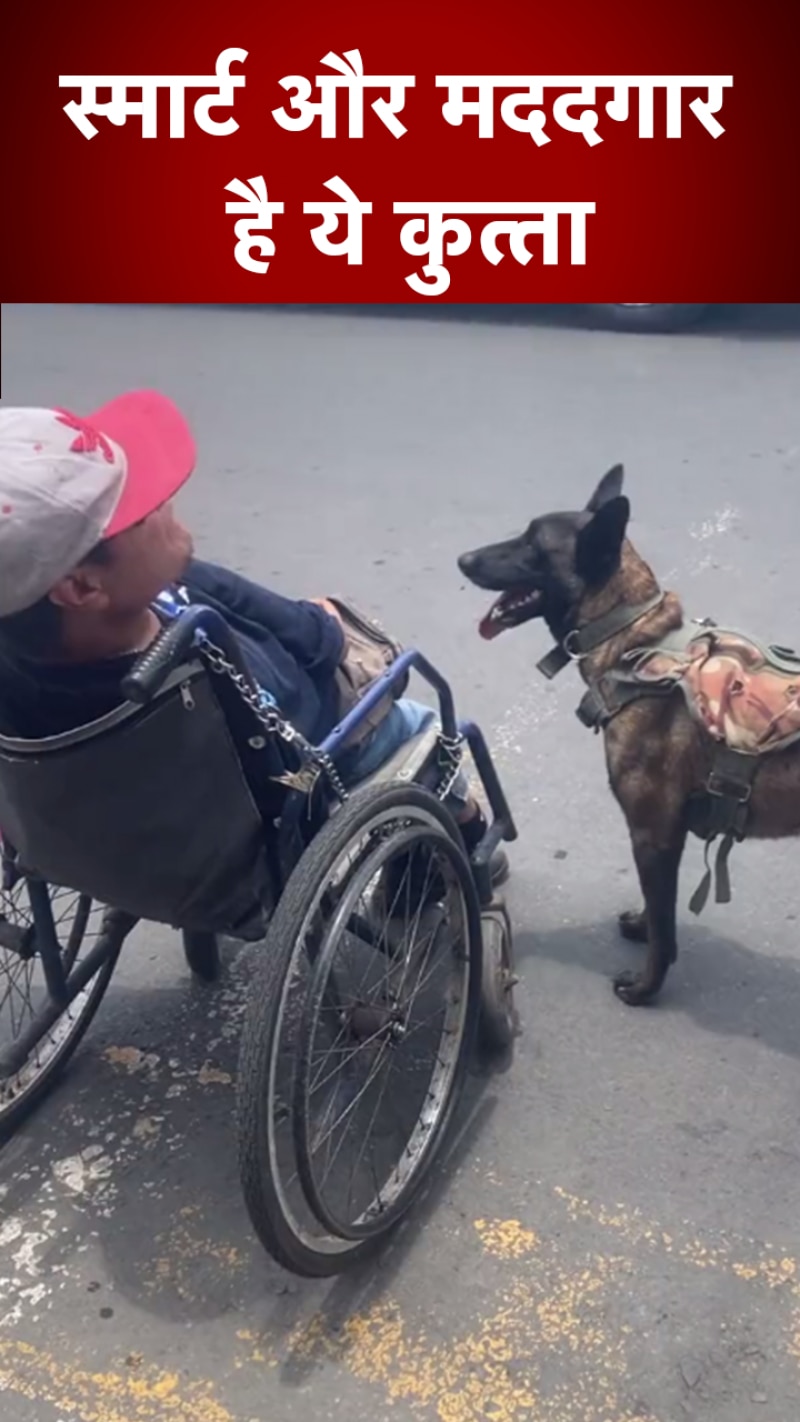  दिव्यांग मालिक का 'सारथी' बना ये कुत्ता  