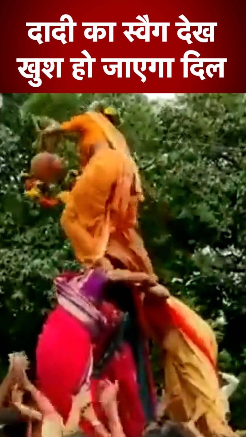 दही हांडी में दादी ने चढ़ कर सिर से फोड़ी मटकी, देखें वीडियो