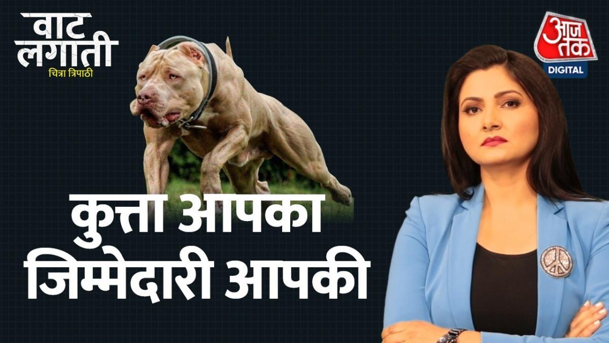 Uproar over dog biting child in lift