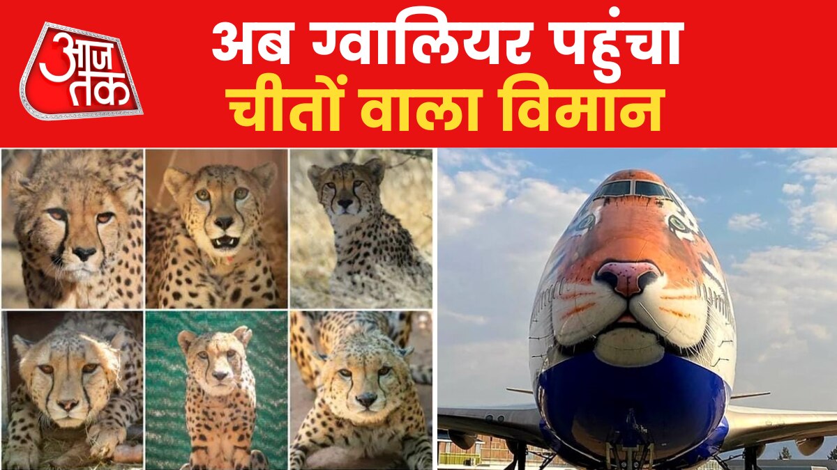 Cheetah in India: नामीबिया से चीतों को लेकर आ रहा बोइंग विमान ग्वालियर पहुंचा