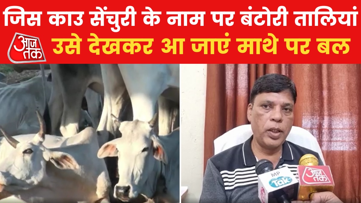 Cow Sanctuary in MP: करोड़ों खर्च करके बनाई गई देश की पहली काउ सेंचुरी, देखें हालात