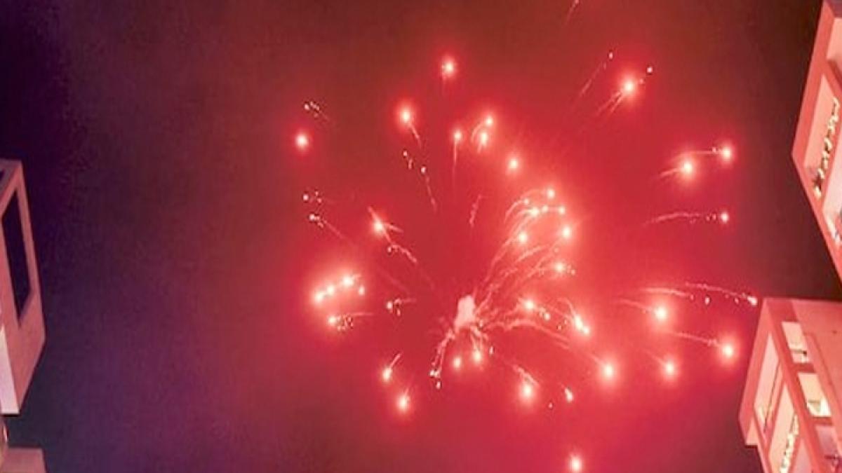 Will green crackers not burst in Delhi now online sale closed News MMT