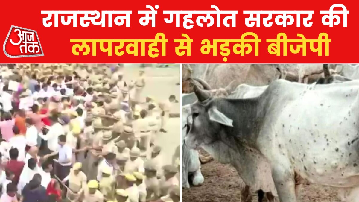 Jaipur Protest: लम्पी वायरस को लेकर गहलोत सरकार के खिलाफ BJP का हल्लाबोल