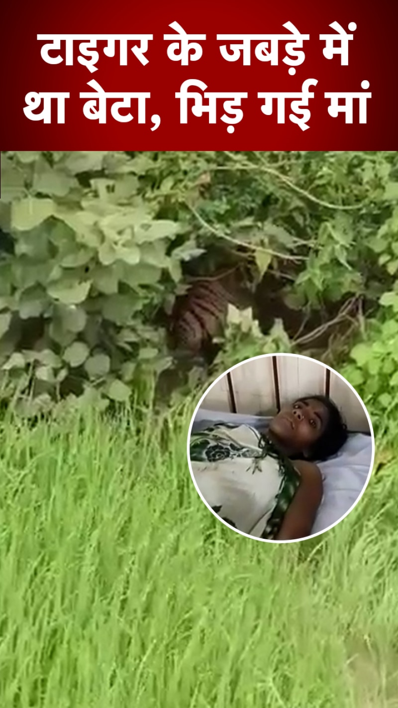 MP: 15 माह के बेटे को बचाने के लिए खूंखार टाइगर से भिड़ गई मां