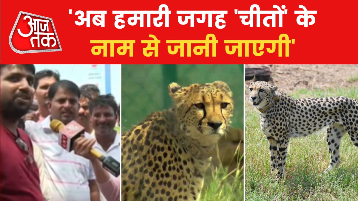 PM Modi Welcomes Cheetah: 'हमे रोजगार का मौका मिलेगा', चीतों के आने पर बोले स्थानीय नागरिक