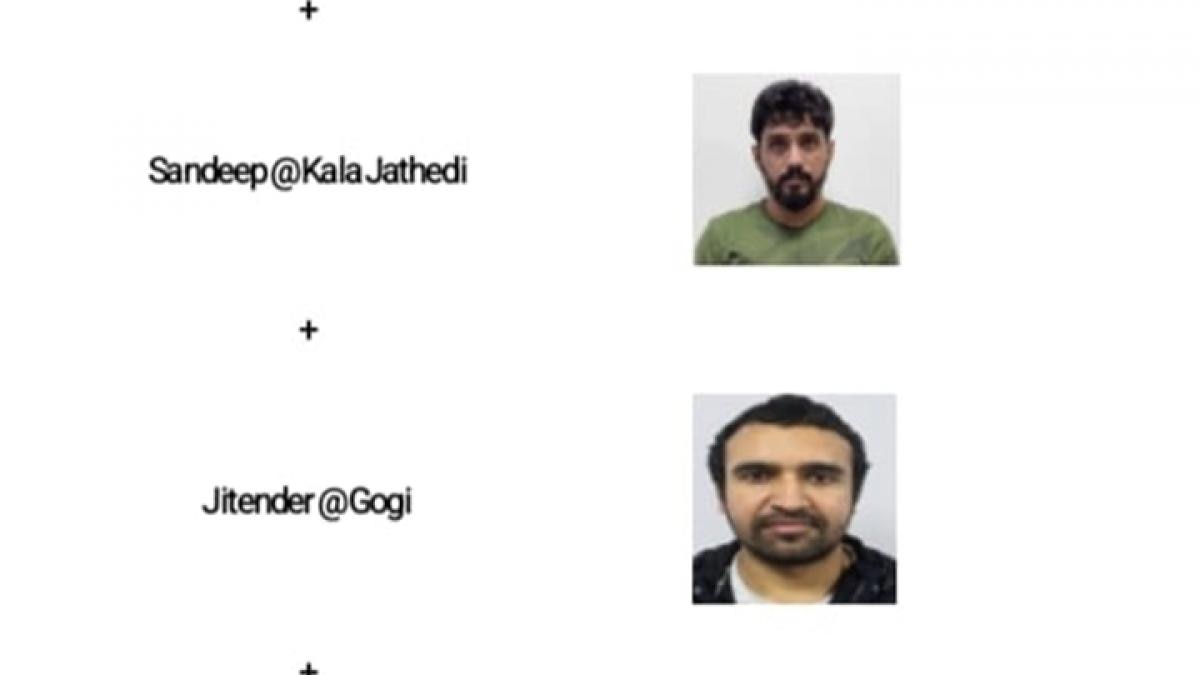 sidhu moosewala murder case