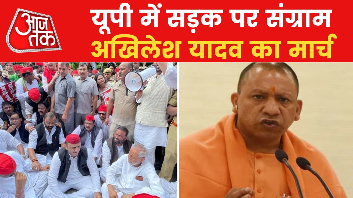 sp vs yogi