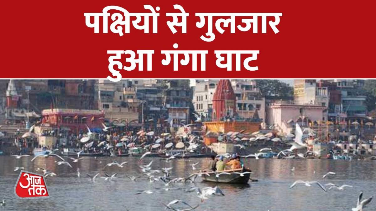 पक्षियों की चहचहाट से गूंजा गंगा घाट, अद्भुत हुआ नजारा