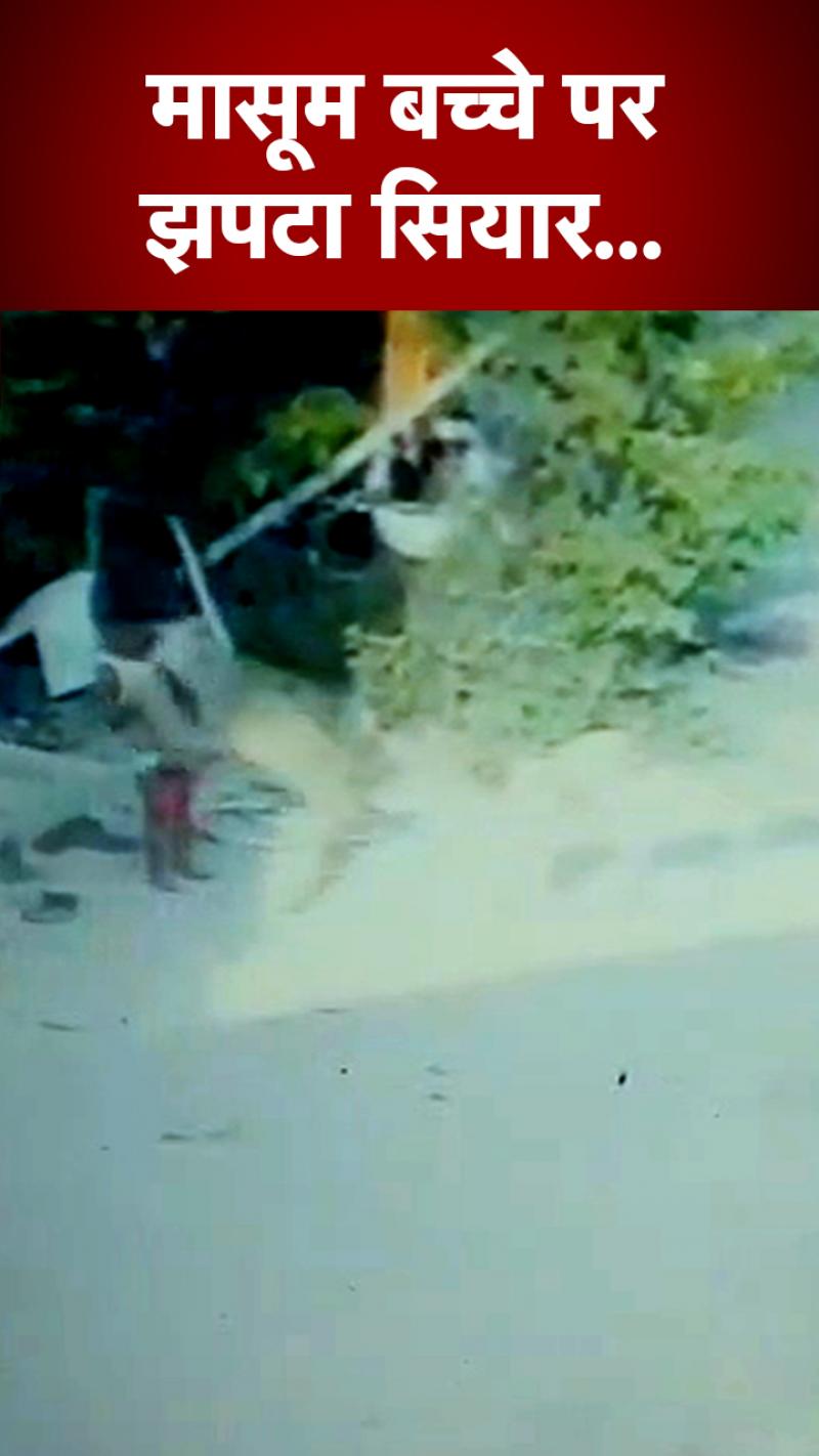 Uttar Pradesh: मासूम बच्चे पर सियार का हमला, फिर... 