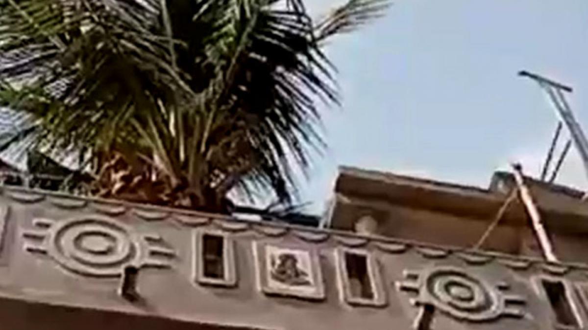 house around the coconut tree