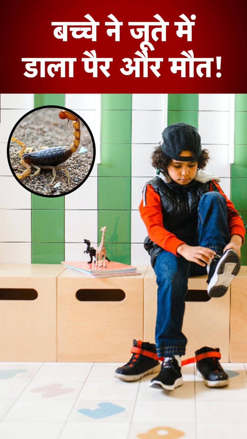 Boy Shoe Accident: जूते में पैर डालते ही बच्चे को आया हार्ट अटैक और फिर...