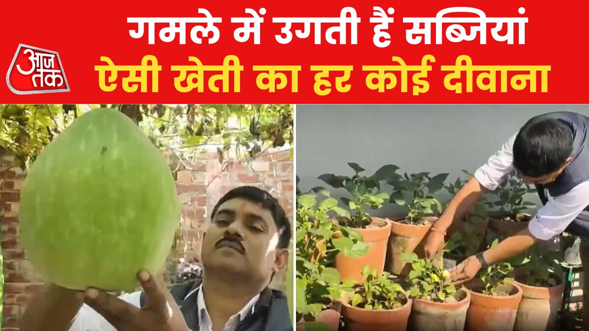 karnal vegetable on roof