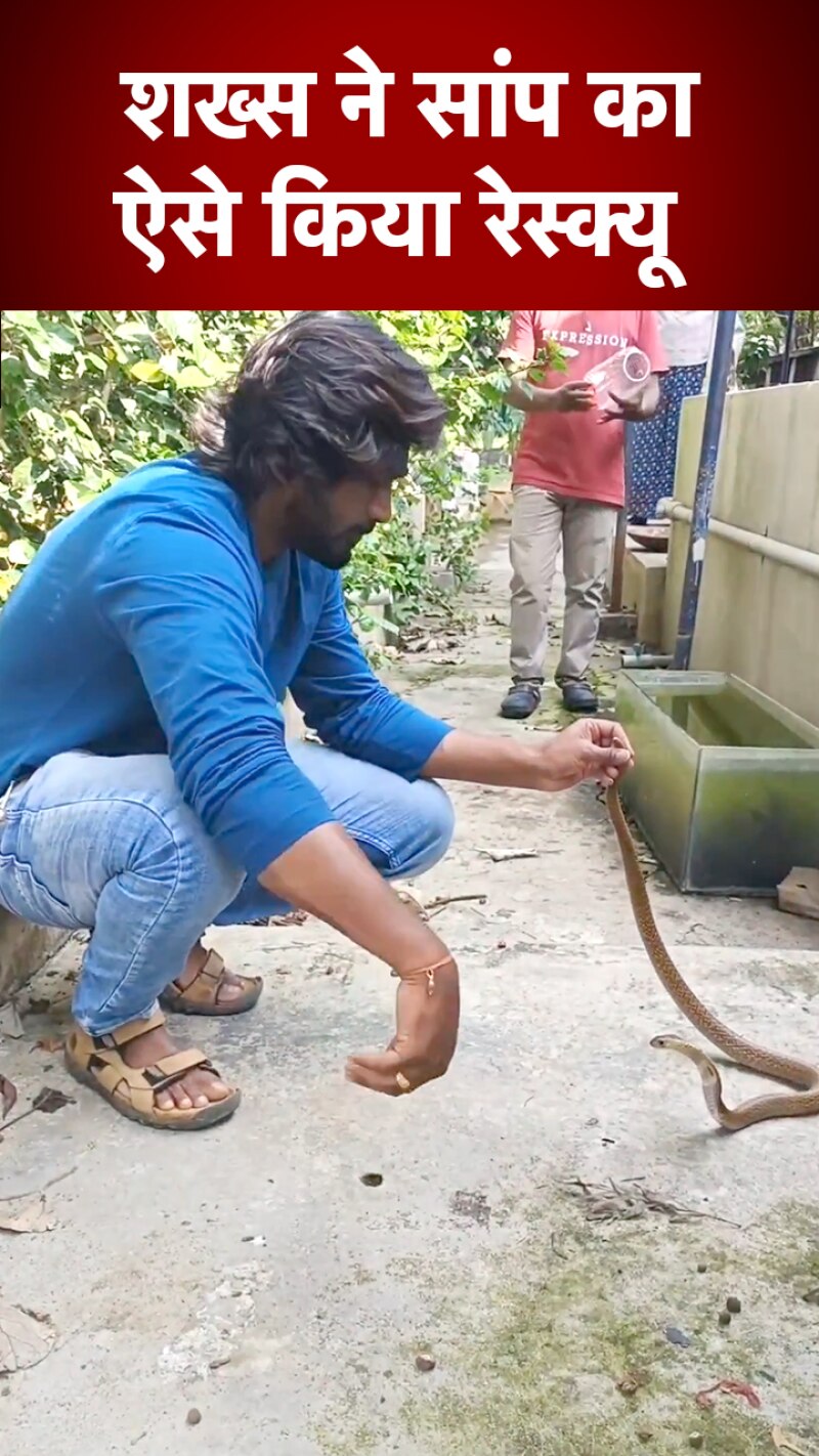 शख्स ने हैरतअंगेज अंदाज में किया सांप का रेस्क्यू , Video Viral