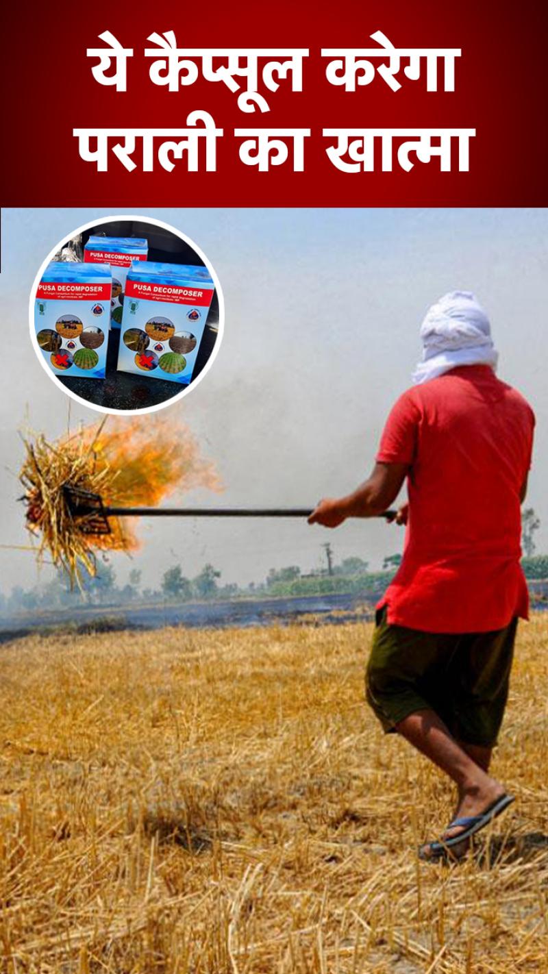 कैप्सूल से खत्म होगी पराली.. बन जाएगी खाद..