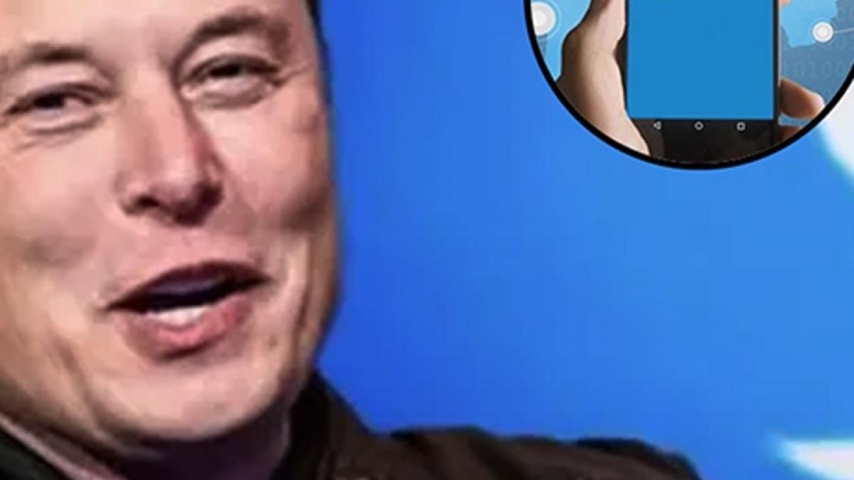 twitter different colour verification badge