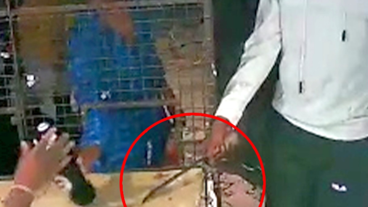 Robbery of liquor captured in CCTV Video surfaced News in hindi MMT