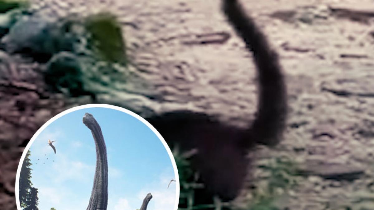 Are dinosaurs back on earth according to the research news in hindi MMT