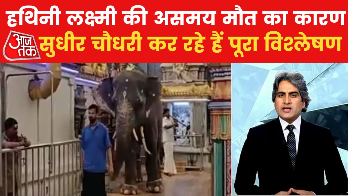 पांडिचेरी के मंदिर में 32 साल की हथिनी की मौत, फूट-फूटकर रोए लोग