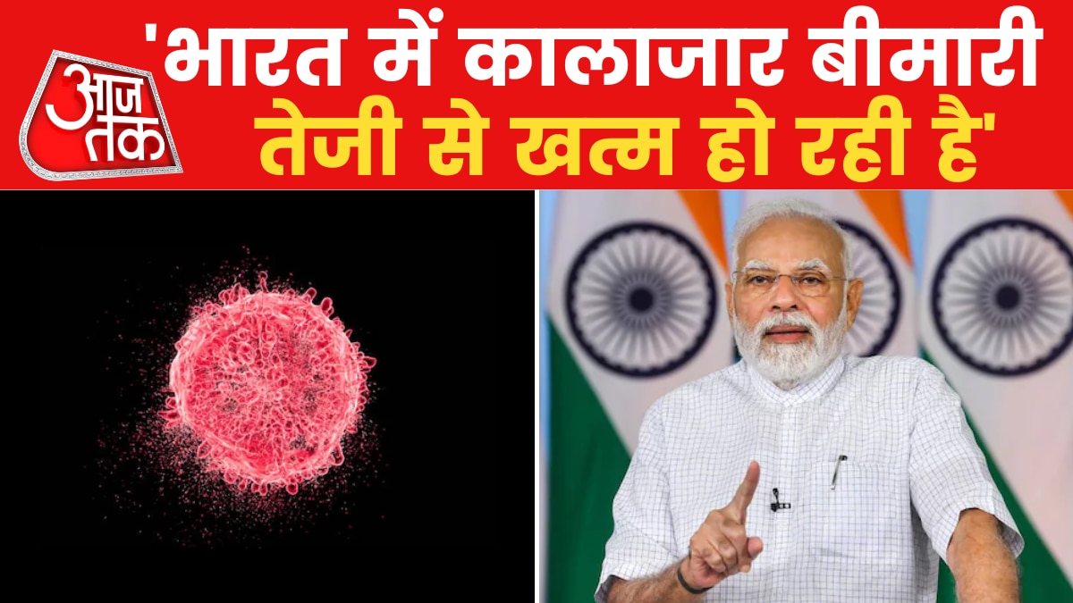PM Modi: कालाजार बीमारी से बचाव के लिए किन बातों का रखें ख्याल? देखिए प्रधानमंत्री मोदी के 'मन की बात'