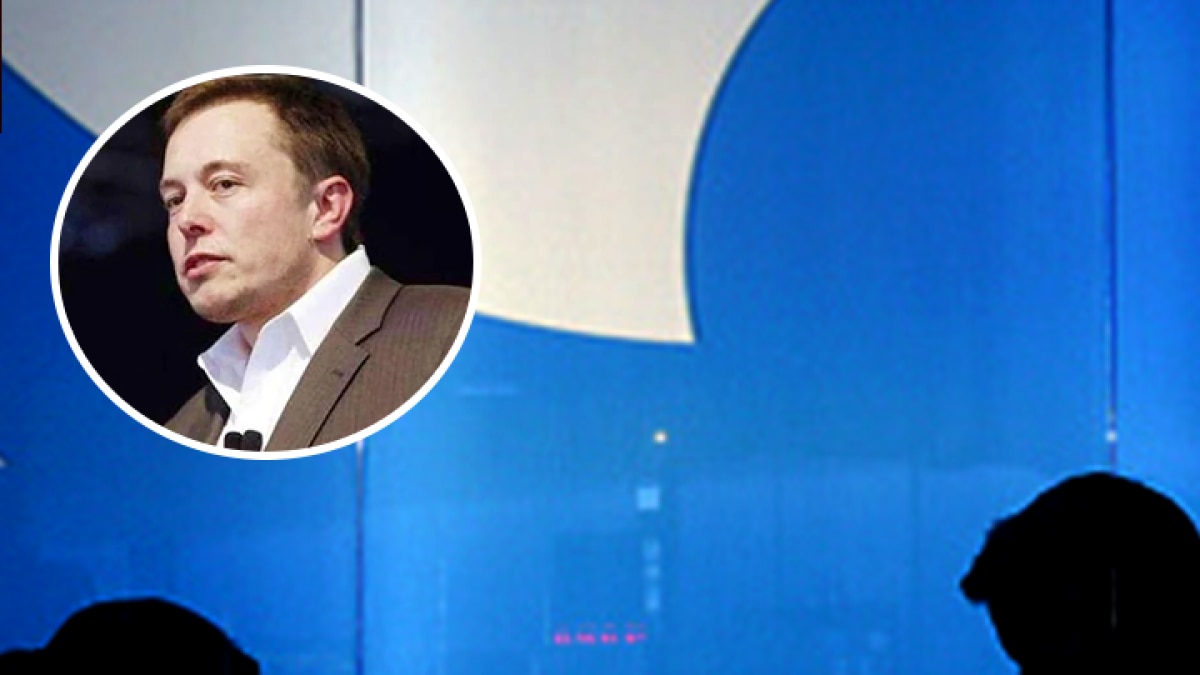 twitter verification