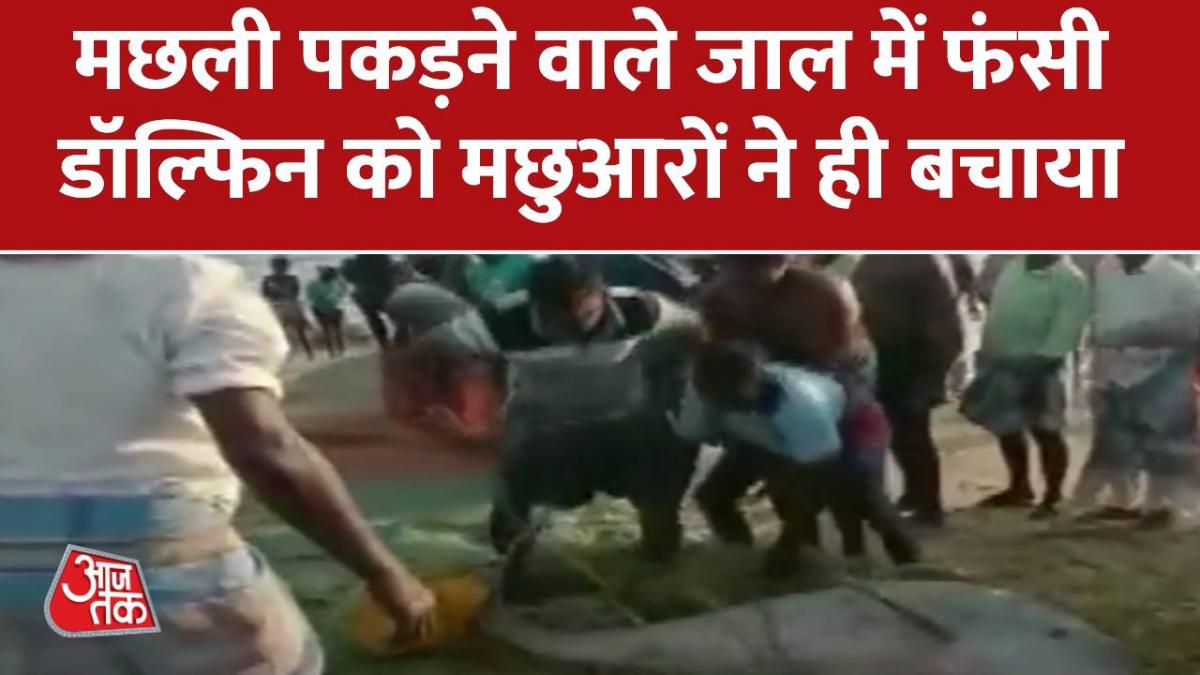 ये वीडियो देखकर आप भी करेंगे मछुआरों की तारीफ