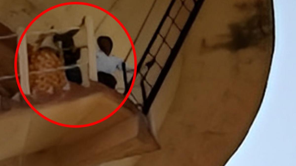 young man climbed on water tank