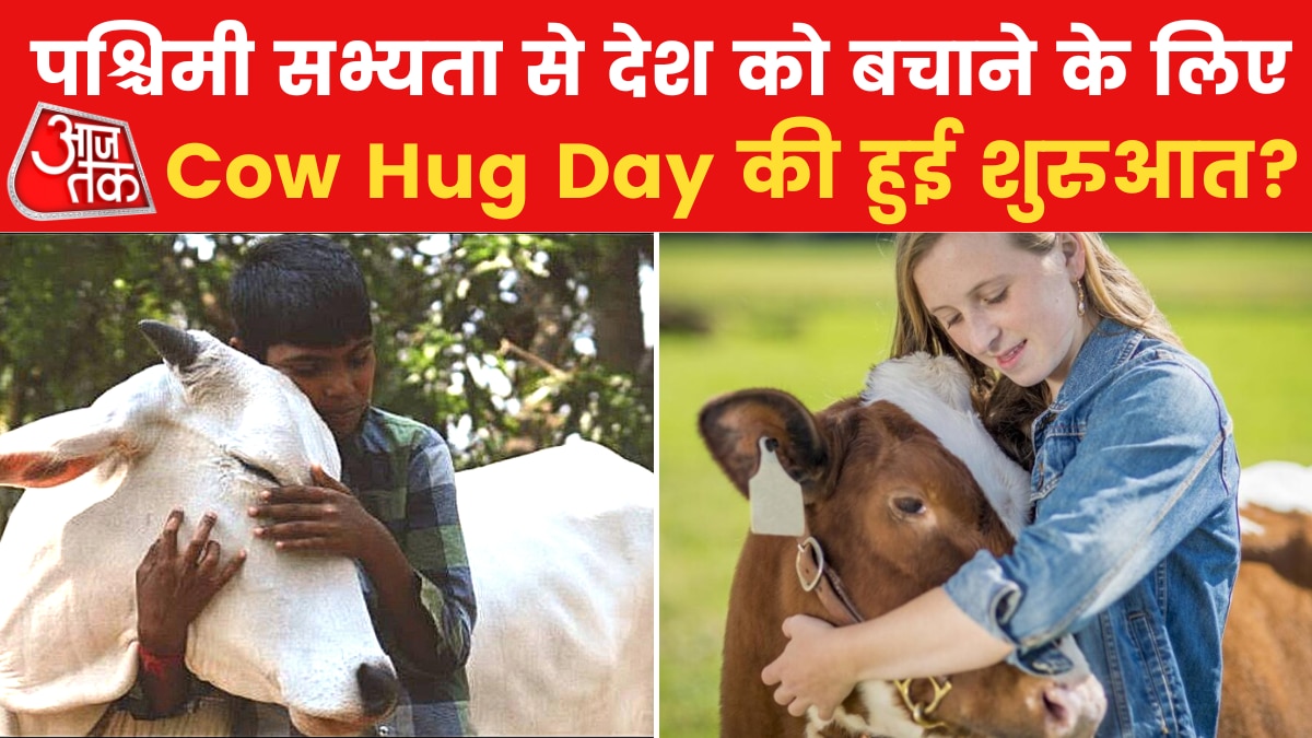 Cow Hug Day के लिए क्यों चुनी गई 14 फरवरी की तारीख?