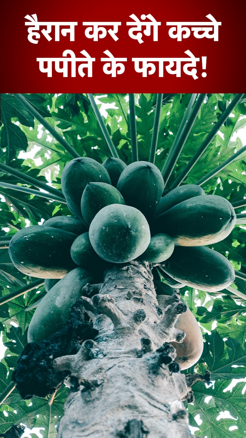 पाचन के अलावा इन चीजों में फायदेमंद है कच्चा पपीता