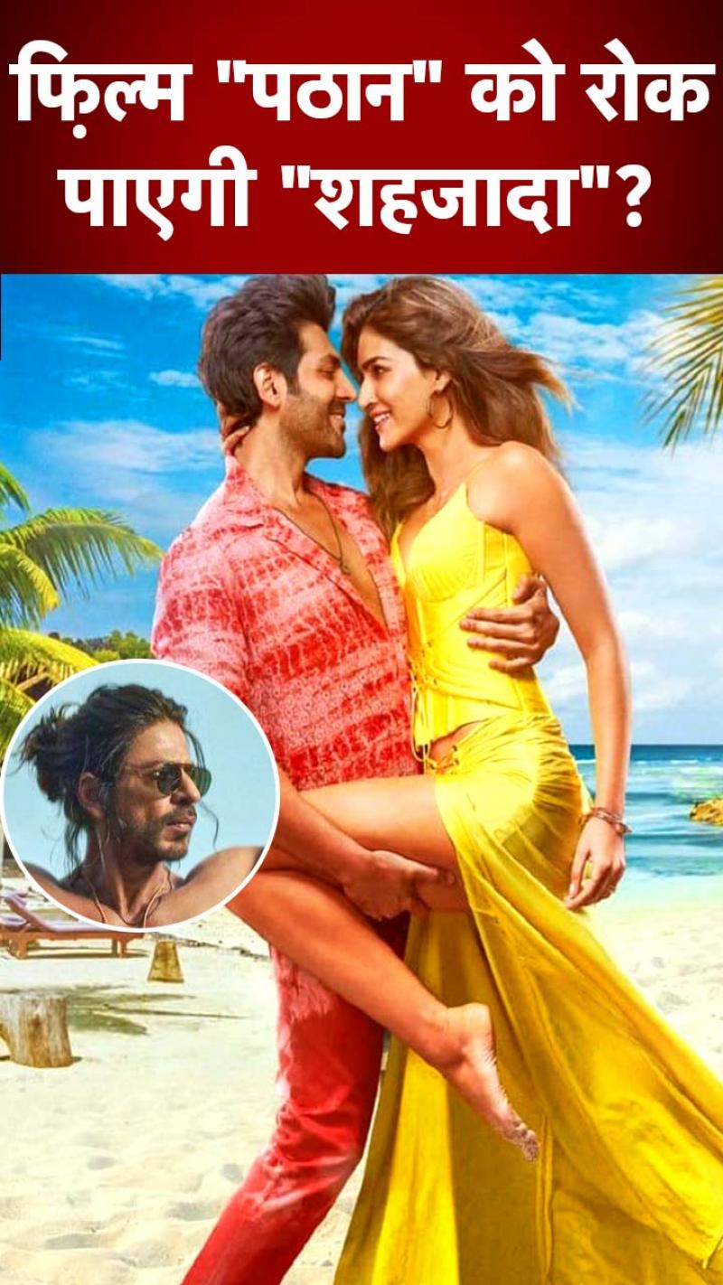 रिलीज से पहले ही 'शहजादा' ने की इतनी कमाई