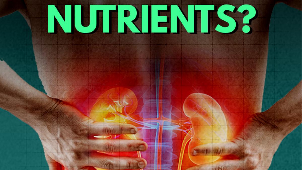 healthy food can also damage your kidney?