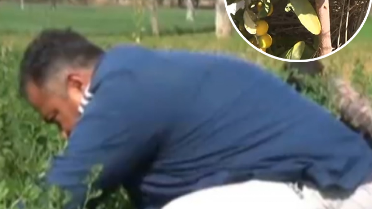 pilot leaves job and starts farming in churu 