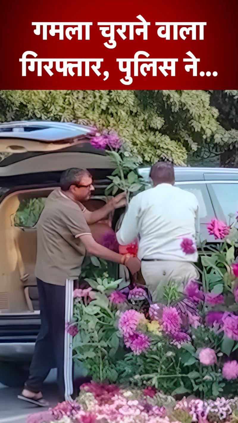 पुलिस की गिरफ्त में गमला चुराने वाला शख्स