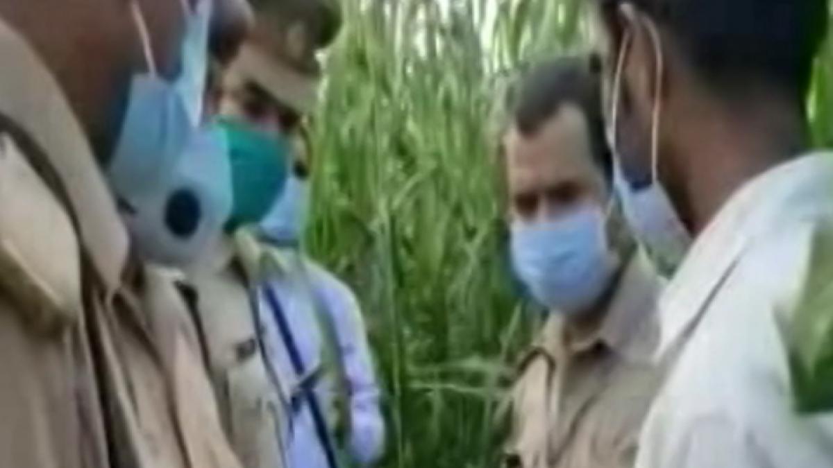 Hathras gang rape and murder 