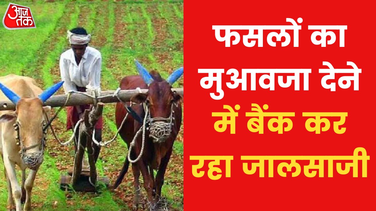 बीमा भुगतान के नाम पर बैंक ने की किसानों से धोखाधड़ी