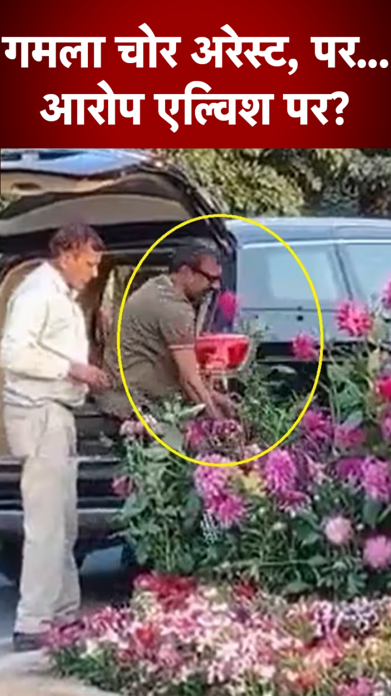 गमला चोरी केस: YouTuber एल्विश यादव पर आरोप क्यों?