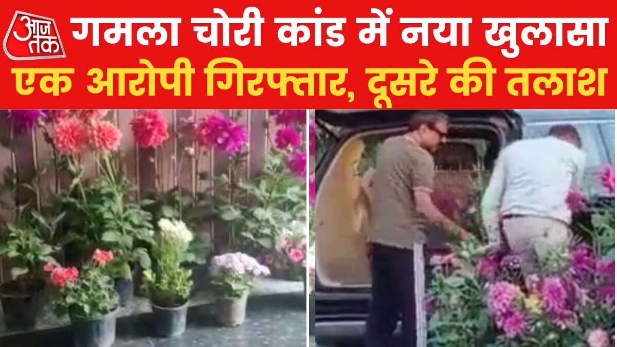 Gurugram flower pot theft