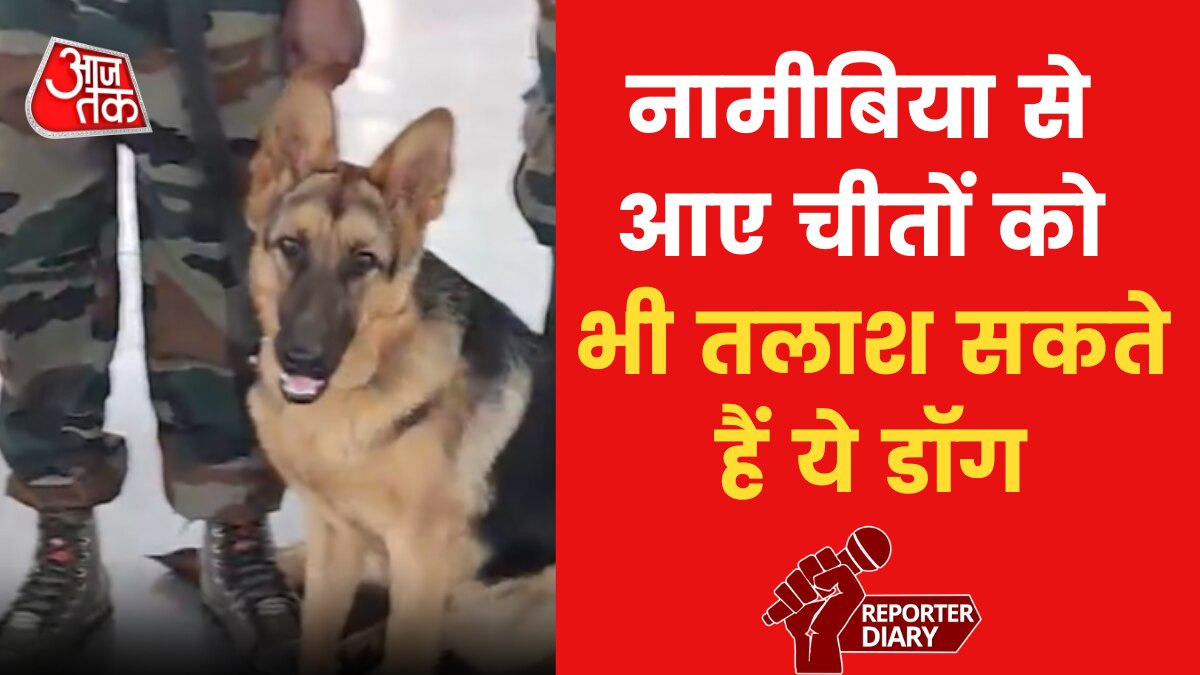 जंगलों में अवैध तस्करी को रोकने ITBP दे रहा स्पेशल ट्रेनिंग