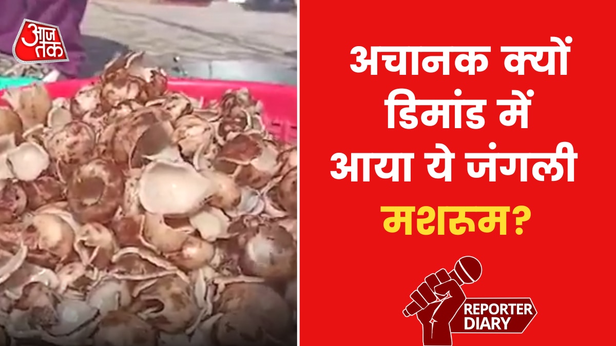 कश्मीर में मिलता है ये जंगली मशरूम, महिलाओं की कमाई का बना जरिया