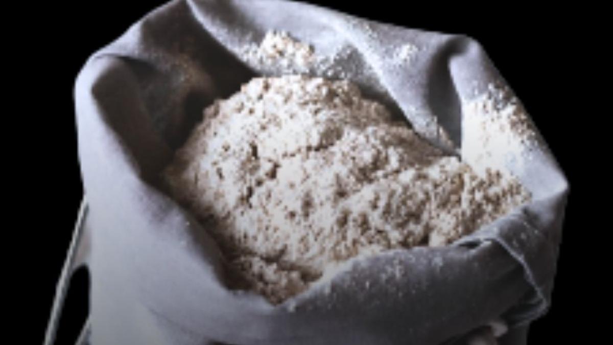 morbi food poisoning