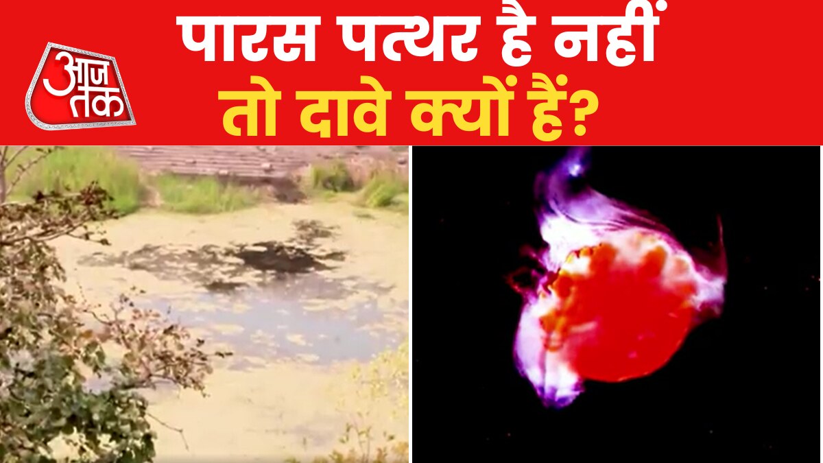 इस 'चमत्कारी पत्थर' की तलाश में जान भी गंवा चुके हैं लोग, जानिए पूरी कहानी