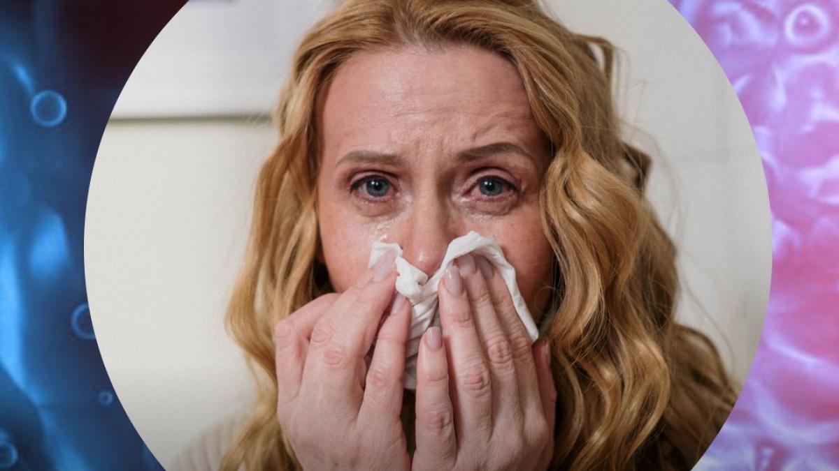 Sypmtoms and treatment of H3N2 virus break out  