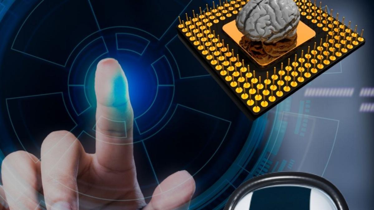 ChatGPT usage and Importance