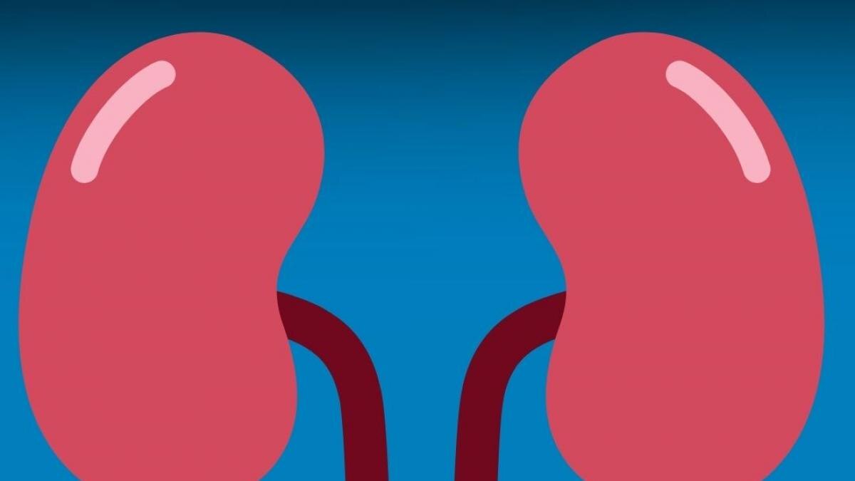 What happens if we loose our both kidneys